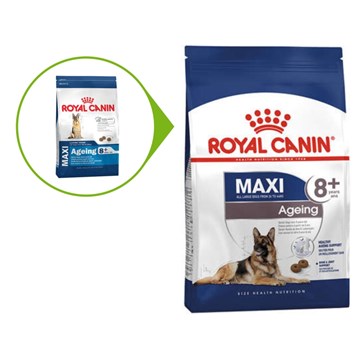 Ração Royal Canin Maxi Ageing 8+ para Cães Adultos de Raças Grandes Idosos com 8 Anos ou mais